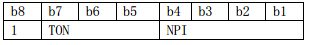 TON/NPI字节定义