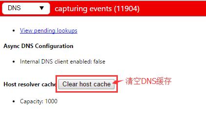 Chrome浏览器清除dns缓存方法
